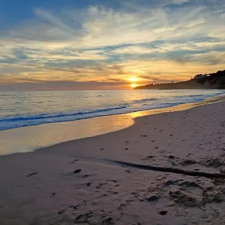 Апартаменты Balaia *